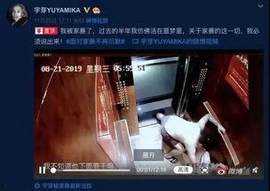 谁爆料家暴视频大全集,家暴视频大全集深度解析  第3张